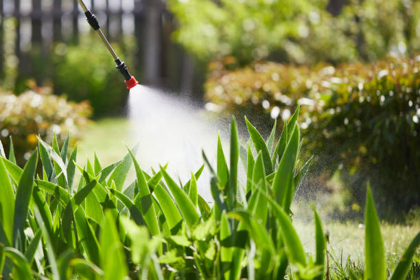 24/7 Emergency Mosquito Control experts in Dillsboro, IN